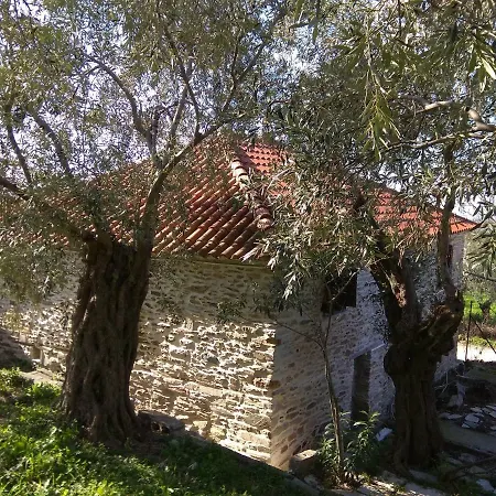 Pelion Zervochia アフィソス