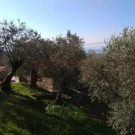 Pelion Zervochia アフィソス