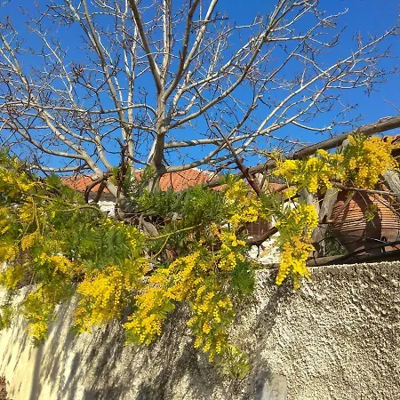 Pelion Zervochia