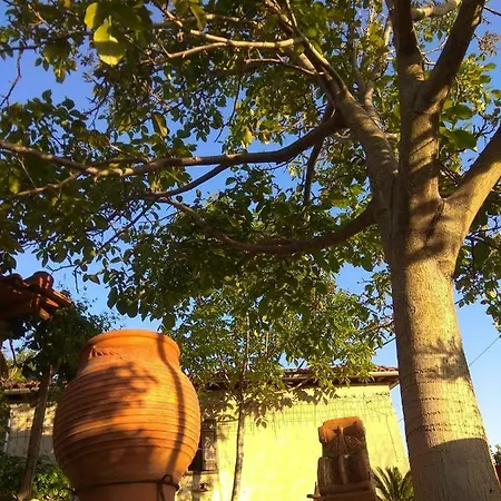 Pelion Zervochia