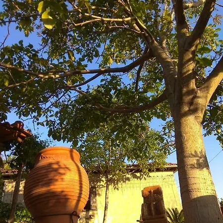 Pelion Zervochia